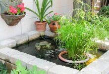 Rumah Kecil Tetap Bisa Punya Kolam Ikan, 6 Desain Ini Redam Bising dengan Gemericik Halus