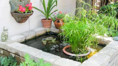 Rumah Kecil Tetap Bisa Punya Kolam Ikan, 6 Desain Ini Redam Bising dengan Gemericik Halus