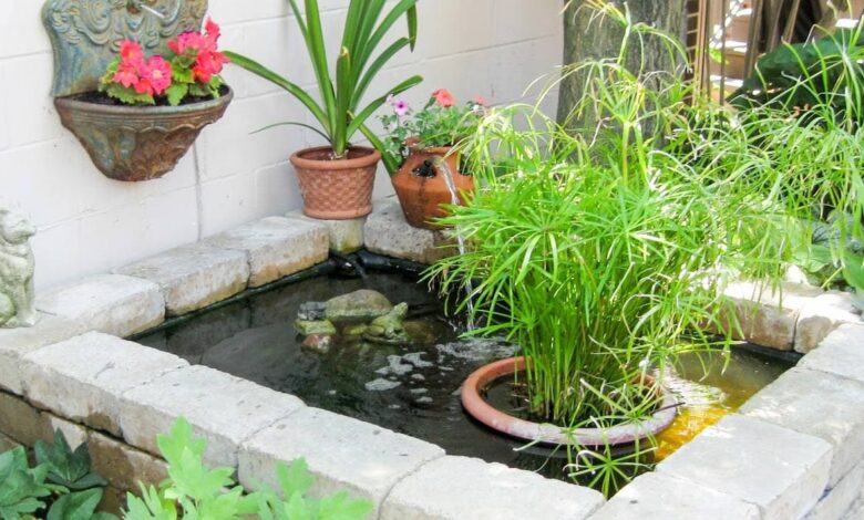 Rumah Kecil Tetap Bisa Punya Kolam Ikan, 6 Desain Ini Redam Bising dengan Gemericik Halus