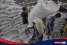 Bulog Gelontorkan Beras SPHP, Bantuan Pangan Dipercepat Demi Tahan Harga Beras