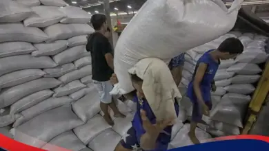 Bulog Gelontorkan Beras SPHP, Bantuan Pangan Dipercepat Demi Tahan Harga Beras