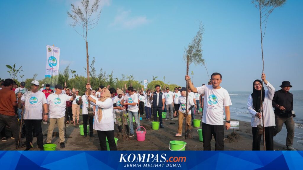 Pemprov Jateng Akui Tanam Mangrove Serentak Tak Selalu Tepat, Ini Penyebab Gagal Tumbuh