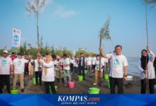 Pemprov Jateng Akui Tanam Mangrove Serentak Tak Selalu Tepat, Ini Penyebab Gagal Tumbuh