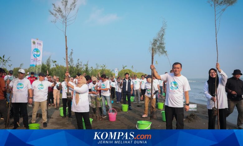 Pemprov Jateng Akui Tanam Mangrove Serentak Tak Selalu Tepat, Ini Penyebab Gagal Tumbuh