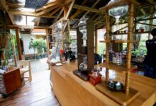 Bandung Ternyata Punya Tea House Sekeren Ini, Dari Homey Sampai Sejarah Teh