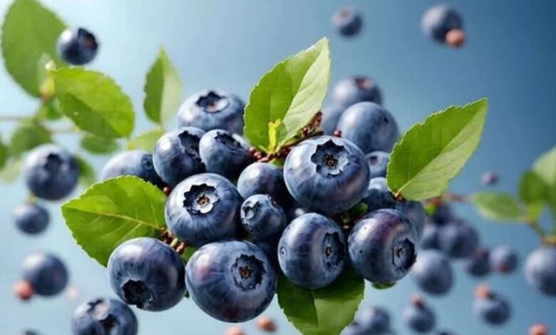 Bukan Jumlah Porsi, Jenis Buah Dan Sayur Ini Yang Paling Menjaga Jantung