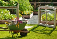 Lahan Sempit Bukan Masalah, 9 Ide Kebun Sayur Ini Bikin Dapur Tetap Penuh