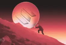 Solana Tergelincir Lebih Dalam, Tiga Metrik On-Chain Ini Ungkap Luka Sebenarnya