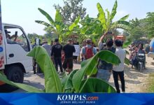 Warga Tanam Pisang di Jalan Rusak, Pemprov Jateng Tambah Rp 28,7 Miliar