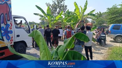 Warga Tanam Pisang di Jalan Rusak, Pemprov Jateng Tambah Rp 28,7 Miliar