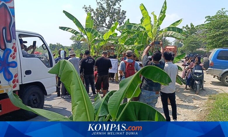 Warga Tanam Pisang di Jalan Rusak, Pemprov Jateng Tambah Rp 28,7 Miliar