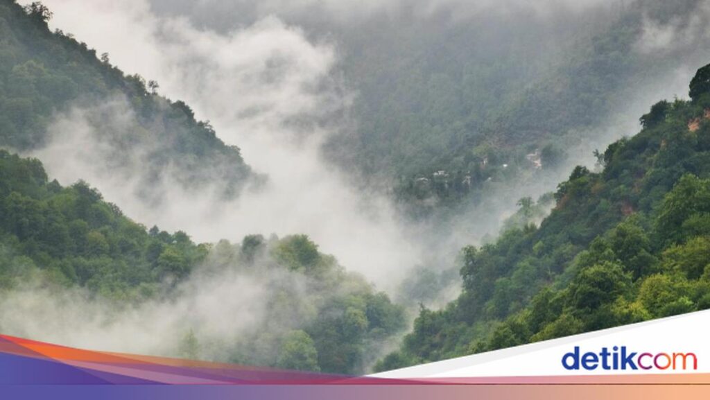 Kabut Mengintai 17 Wilayah Jawa Timur, Cuaca Hari Ini Tak Boleh Diremehkan