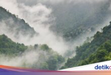 Kabut Mengintai 17 Wilayah Jawa Timur, Cuaca Hari Ini Tak Boleh Diremehkan
