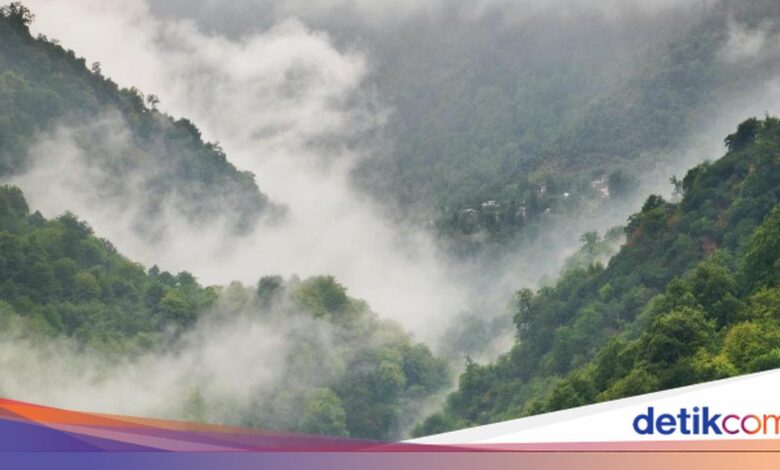 Kabut Mengintai 17 Wilayah Jawa Timur, Cuaca Hari Ini Tak Boleh Diremehkan