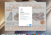 Safari Dirombak Besar Di WWDC 2026, Apple Intelligence Bikin Browser Makin Cerdas