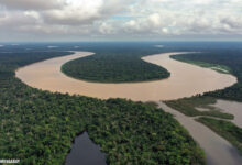 Amazon Pernah Mengalir Terbalik, Jejak Geologi Ini Ungkap Penyebabnya