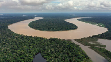 Amazon Pernah Mengalir Terbalik, Jejak Geologi Ini Ungkap Penyebabnya