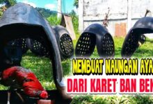 Kandang Ayam Dari Drum Bekas Bisa Dipindah, Murah Dirawat, dan Lebih Higienis