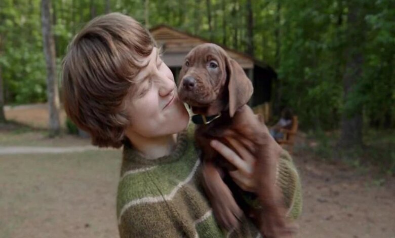 Scooby Jadi Anjing Sungguhan di Netflix, Origins Bawa Waralaba Ini ke Arah Tak Biasa