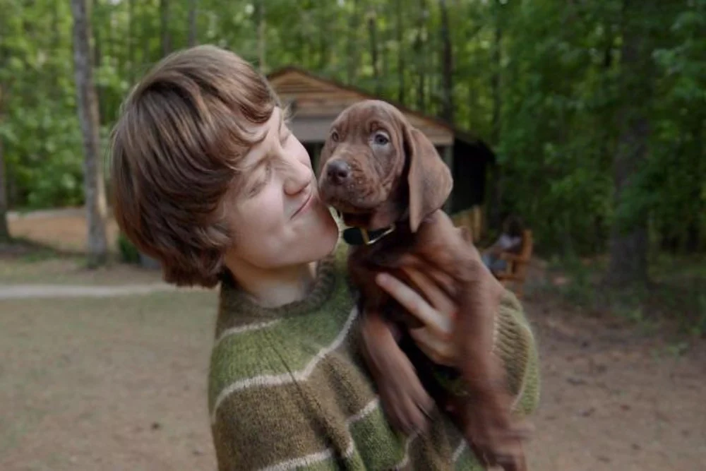 Scooby Jadi Anjing Sungguhan di Netflix, Origins Bawa Waralaba Ini ke Arah Tak Biasa
