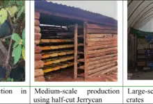 12 Ternak Mini di Drum Bekas 100 Liter, Hemat Lahan dan Buka Peluang Cuan