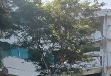 Mindanao Lumpuh Usai Gempa 8,1, Listrik, Sinyal, dan Bandara Ikut Tumbang
