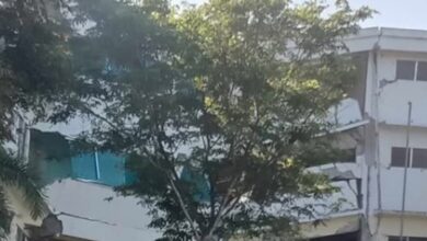Mindanao Lumpuh Usai Gempa 8,1, Listrik, Sinyal, dan Bandara Ikut Tumbang