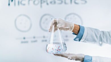 Mikroplastik Sudah Masuk Makanan, Minuman, dan Udara, Ancaman yang Sulit Diabaikan