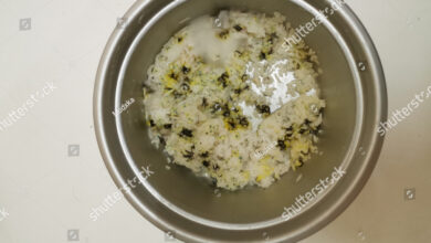 4 Kebiasaan Kecil yang Diam-Diam Bikin Nasi Cepat Basi di Rice Cooker