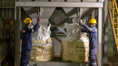 Antam Bertahan di Tengah Tekanan Nikel, Hilirisasi dan Efisiensi Jadi Andalan