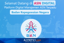 ASN Digital Wajib MFA, Begini Jalan Aman Masuk myASN dan SIASN