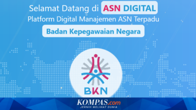 ASN Digital Wajib MFA, Begini Jalan Aman Masuk myASN dan SIASN