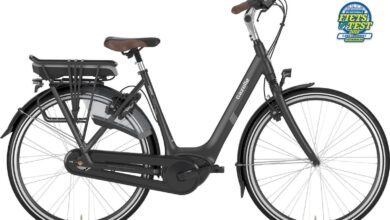 Gazelle Bawa 2 E-Bike Premium Baru, Tenaga Bosch-Nya Bisa Naik Lewat Aplikasi