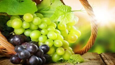 14 Buah yang Perlu Diwaspadai Saat Diet, Kenali Kalori dan Pilih Pengganti Aman