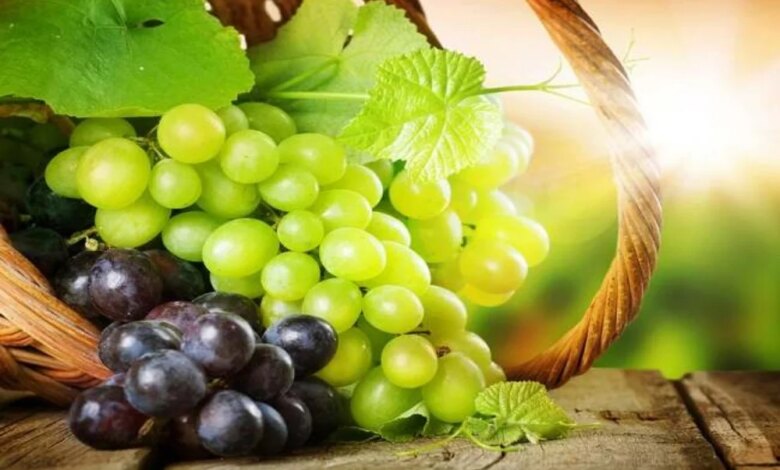 14 Buah yang Perlu Diwaspadai Saat Diet, Kenali Kalori dan Pilih Pengganti Aman