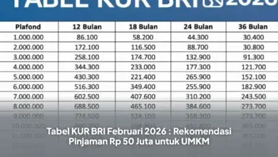 Cicilan KUR BRI Rp 50 Juta Juni 2026, Turun ke Rp 990 Ribu per Bulan