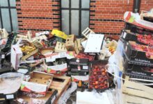 Pemerintah Tata Ulang Makan Bergizi Gratis, Dapur Membengkak Bisa Boros Rp12 Triliun