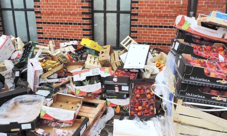 Pemerintah Tata Ulang Makan Bergizi Gratis, Dapur Membengkak Bisa Boros Rp12 Triliun