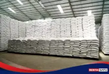 Stok Beras Tembus 5,33 Juta Ton, Indonesia Punya Bantalan Baru Saat Harga Diuji