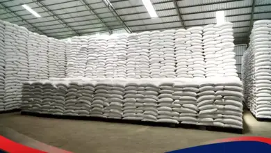 Stok Beras Tembus 5,33 Juta Ton, Indonesia Punya Bantalan Baru Saat Harga Diuji