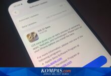 iOS 27 Beta Sudah Bisa Dicoba, Ini Langkah Update dan Risiko yang Perlu Diwaspadai