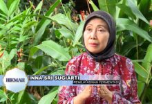 Resep Keluarga 1970 Ini Naik Kelas, Asinan Inna Sri Sugiati Tembus Kuala Lumpur