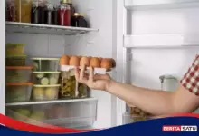 Mati Lampu, Ini Batas Waktu Aman Makanan Di Kulkas Sebelum Harus Dibuang