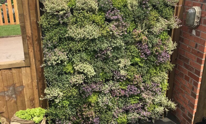 Dinding Tanaman Hidup Ini Serap Lebih Dari 90% Asap Kayu, Bisa Juga Panen Sayur