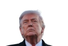 Trump Gelar UFC di Halaman Gedung Putih, Ulang Tahun ke-80 Jadi Panggung Paling Tak Biasa