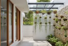 7 Ide Tomat Ceri Gantung untuk Fasad Rumah Sempit yang Lebih Asri dan Produktif