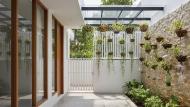 7 Ide Tomat Ceri Gantung untuk Fasad Rumah Sempit yang Lebih Asri dan Produktif