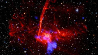 Chandra Tangkap Sisa Ledakan Bintang, Tapi Objek Ini Masih Bikin Astronom Ragu