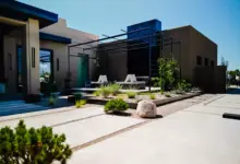 6 Tanaman Minimalis Outdoor yang Bikin Rumah Modern Tampak Rapi Tanpa Ribet