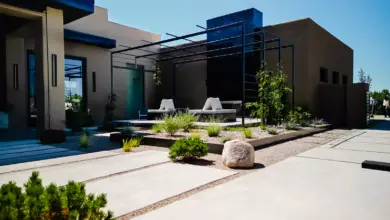 6 Tanaman Minimalis Outdoor yang Bikin Rumah Modern Tampak Rapi Tanpa Ribet